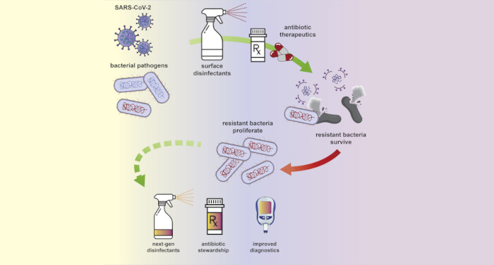 The silent pandemic: Emergent antibiotic resistances following the global response to SARS-CoV-2