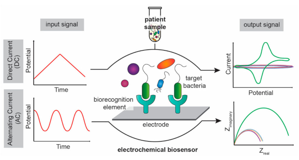 Electrochemical Diagnostics for Bacterial Infectious Diseases