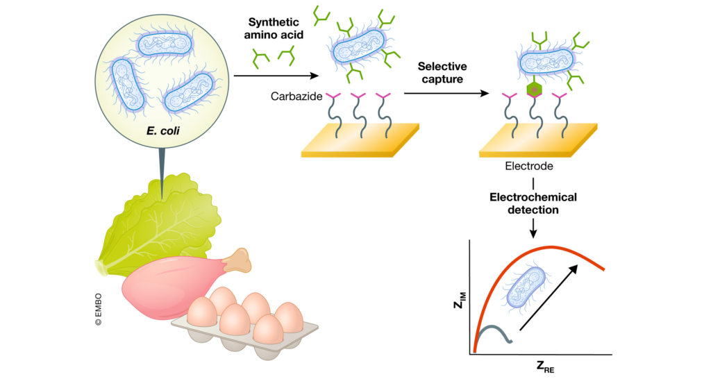 Electricity, chemistry and biomarkers: an elegant and simple package