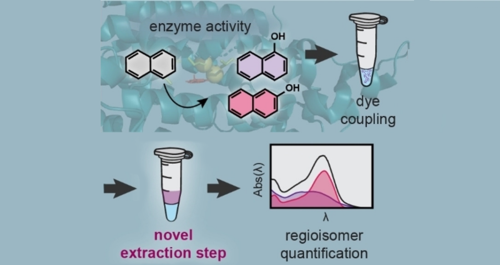 An Improved Spectrophotometric Method for Toluene-4-Monooxygenase Activity